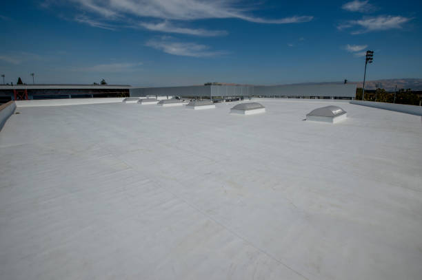  Jackson, MI Roofing Pros