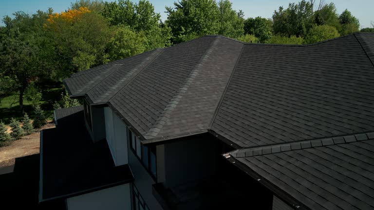 Best Chimney Flashing Repair  in Jackson, MI