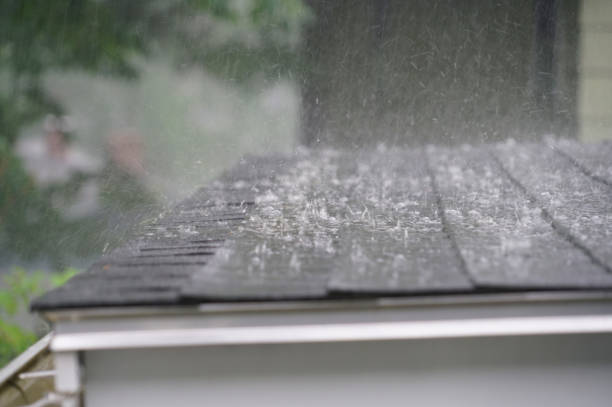 Best Asphalt Shingle Roofing  in Jackson, MI