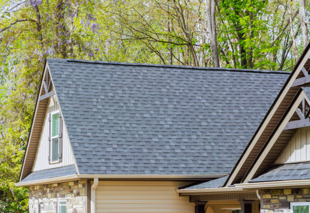 Best Roof Moss and Algae Removal  in Jackson, MI