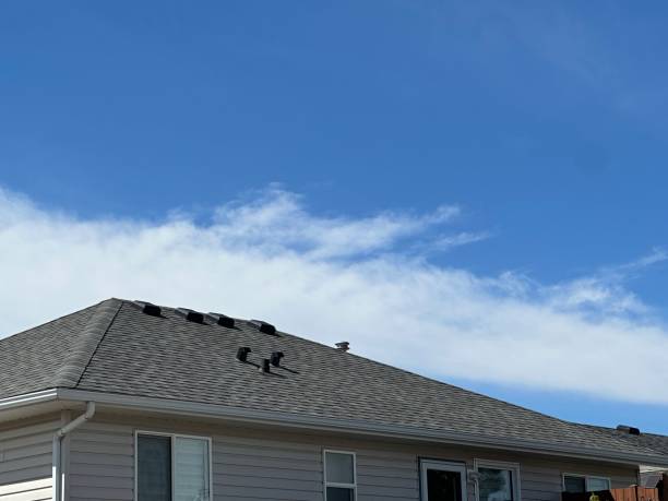 Best Metal Roofing Installation  in Jackson, MI