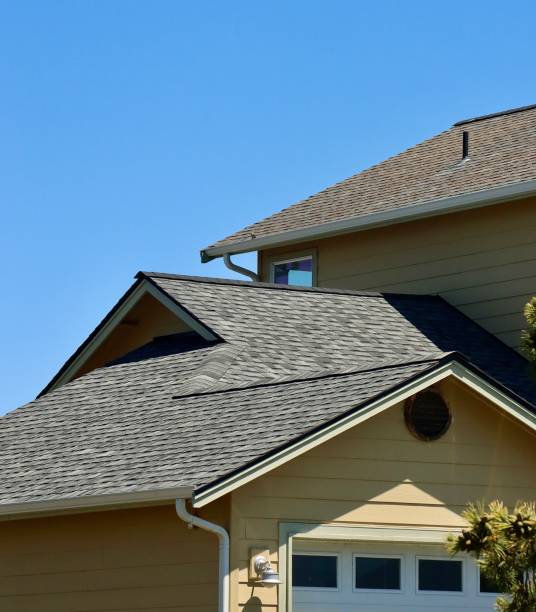 Best Hot Roofs  in Jackson, MI